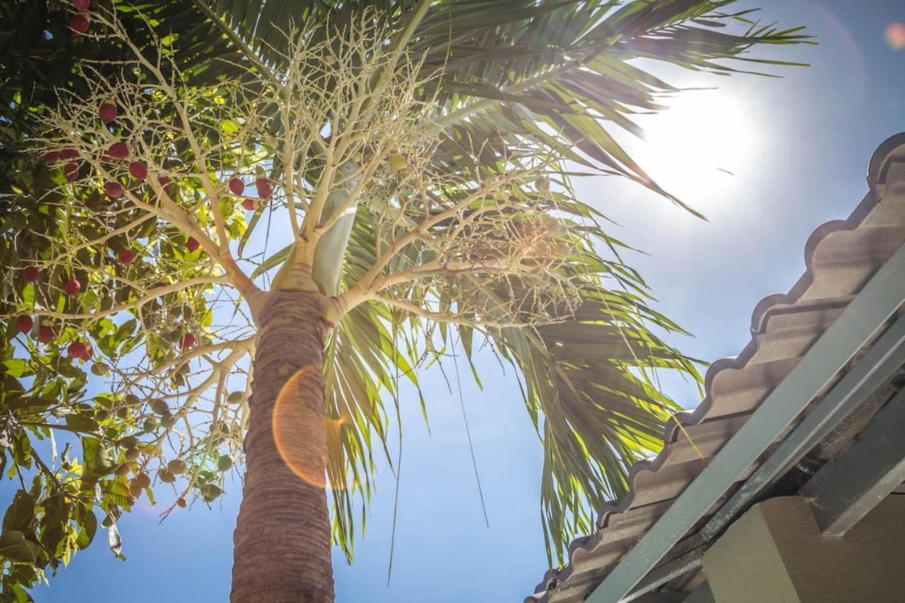 Mui Ne Hills Villa Hotel Dış mekan fotoğraf